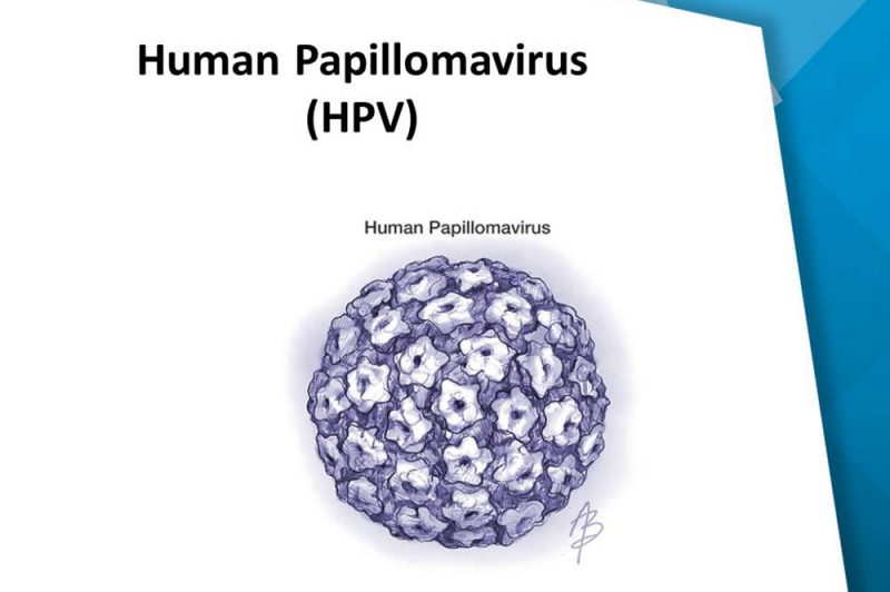 MI-EL Human Papillomavirus (HPV) - MECS